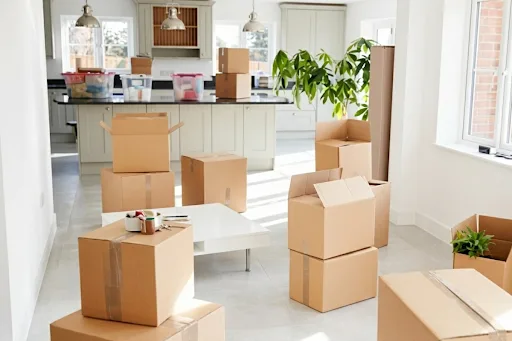 How Do You Handle Emotionally Charged Sentimental Items During a Major Purge?